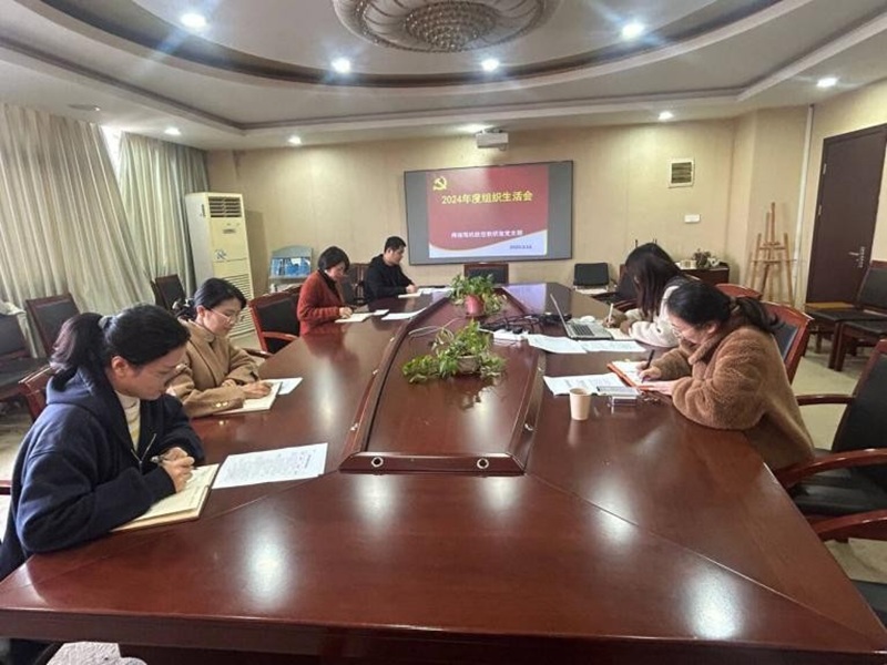 聚焦 2024 年度组织生活会，深化党性锤炼与组织建设