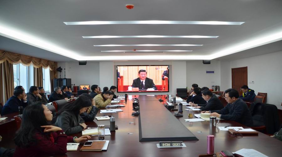 1545723860065045922.jpg 02.jpg