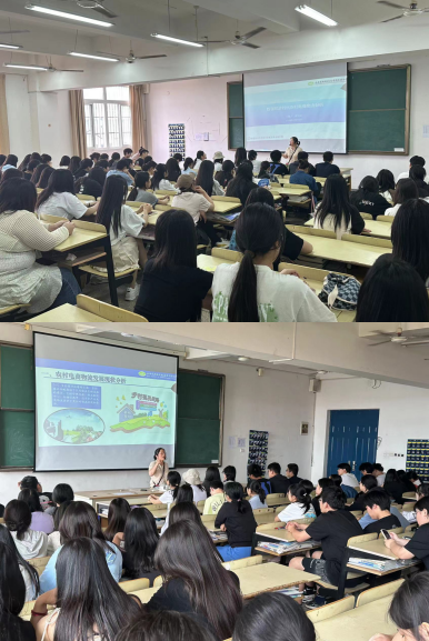 讲座:深度剖析数字经济时代农村电商物流发展