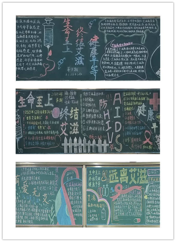 关爱生命,预防艾滋 ——信息管理学院“生命至上 终结艾滋 健康平等”主题黑板报比赛圆满结束